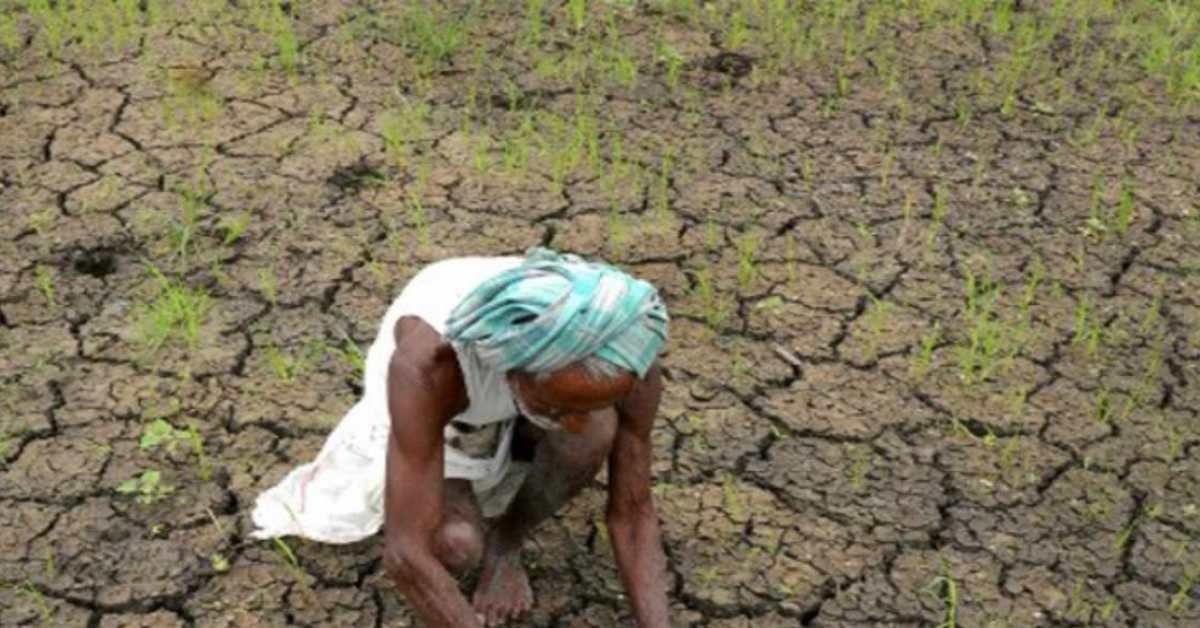 बारिश थमते ही सूखने लगी फसल, कई जिले के किसान हैं चिंतित, जल संसाधन विभाग को खबर तक नहीं…