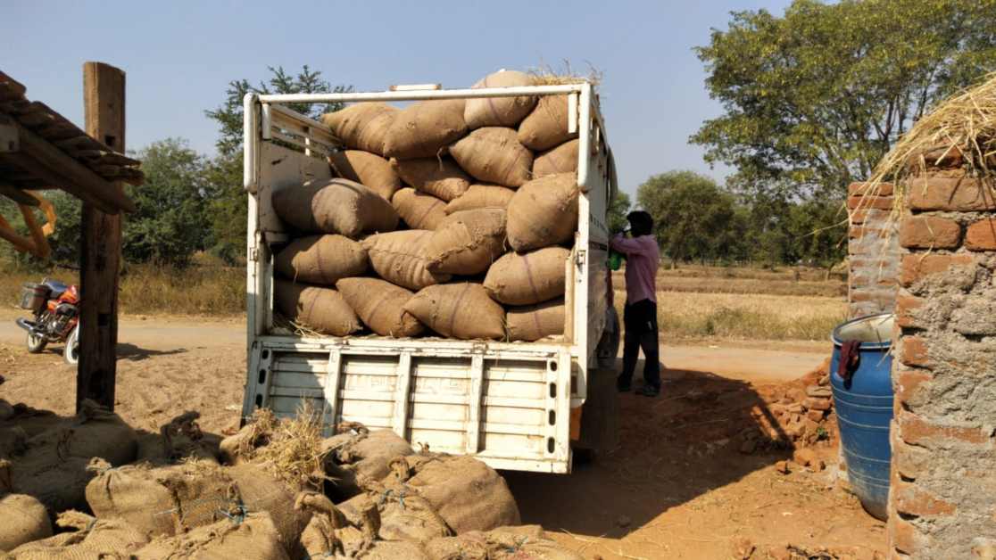 जिले में सक्रिय बिचौलिए खपा रहे ओडिशा का धान, मंडी विभाग का अन्तर्राज्यीय नाका नहीं होने का उठा रहे फायदा