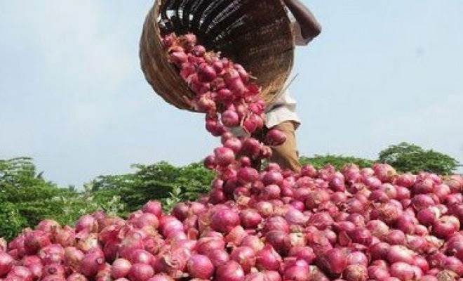 किसान का दर्द: साढ़े 7 क्विंटल प्याज की कीमत मिली सिर्फ 1 हजार रुपये, विरोध में किसान ने पैसा प्रधानमंत्री राहत कोष में दान दिया