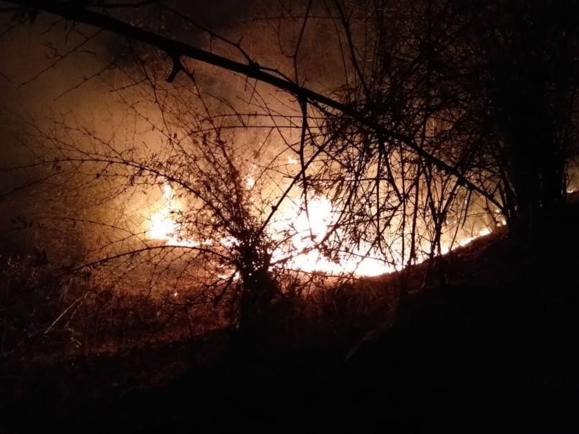 टाइगर रिजर्व के जंगलों में धधक रही भीषण आग, वन विभाग के पास आग बुझाने नहीं है कोई भी उपकरण