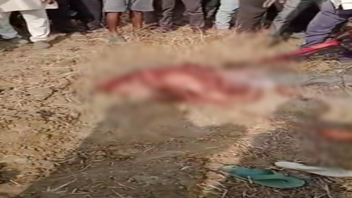 MP में दिल दहला देने वाली घटना: खेत में जुताई के दौरान रोटावेटर की चपेट में आया युवक, कई टुकड़ों में कटा शरीर