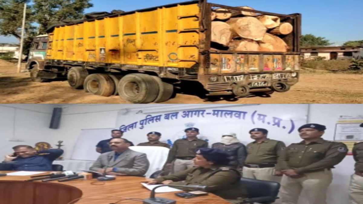 MP: शहडोल में बेशकीमती लकड़ी से भरा ट्रक जब्त, आगर में 10 लाख से अधिक का गांजा बरामद
