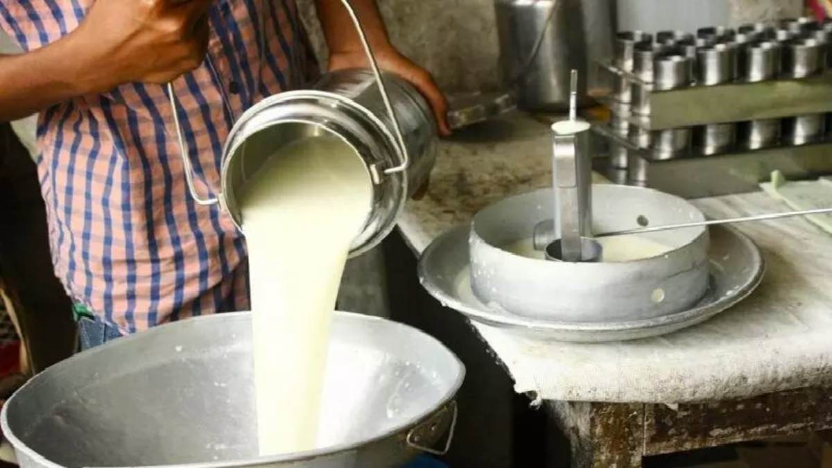 Dairy Farming: दूध के व्यवसाय से छप्परफाड़ कमाई, किसान ने कमाए 30 लाख रुपये, गोबर खाद से भी मोटा मुनाफा