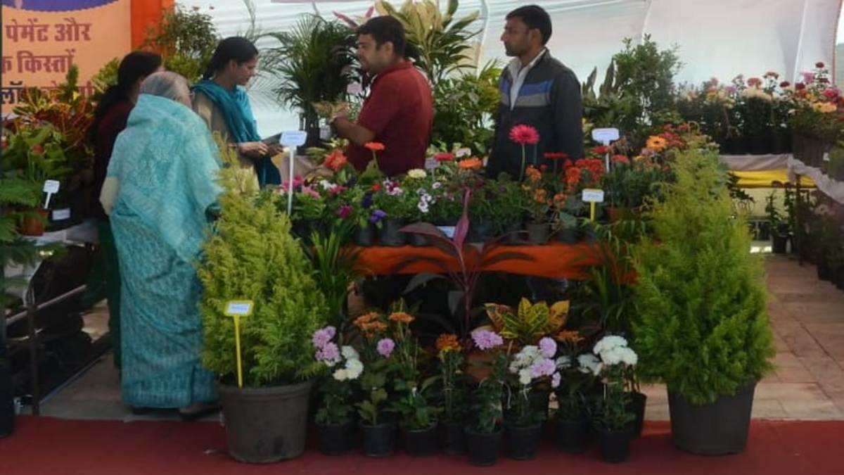 उदयपुर के प्रताप गौरव केंद्र में शरद महोत्सव, 2 जनवरी तक लगी खूबसूरत फूलों की प्रदर्शनी …