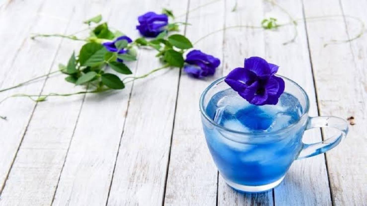 Blue Tea है बेहद फायदेमंद, माईग्रेन के दर्द को करता है ठीक, डाइबिटिज करे कंट्रोल …