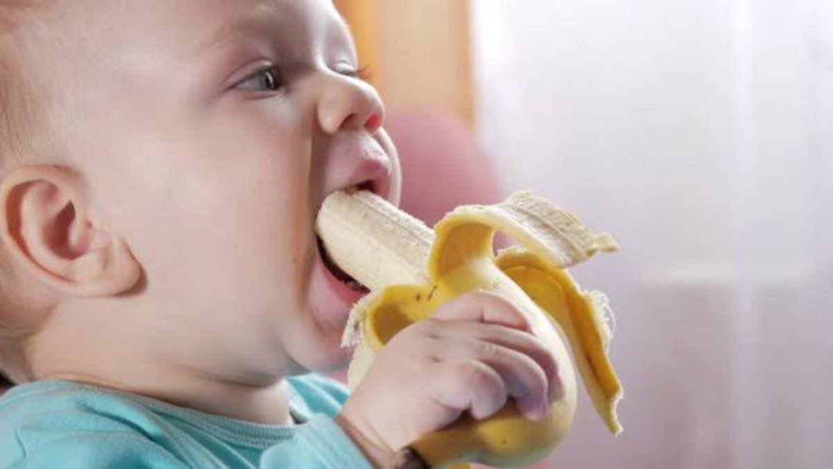 छोटे बच्चों के लिए बहुत फायदेमंद है न्यूट्रीशियन से भरपूर केला, पचाने में है आसान …