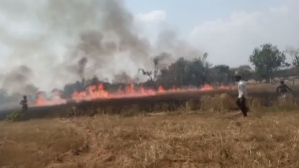 Shivpuri News: बिजली के तार से निकली चिंगारी से लगी आग, गेहूं की फसल जलकर हुई खाक