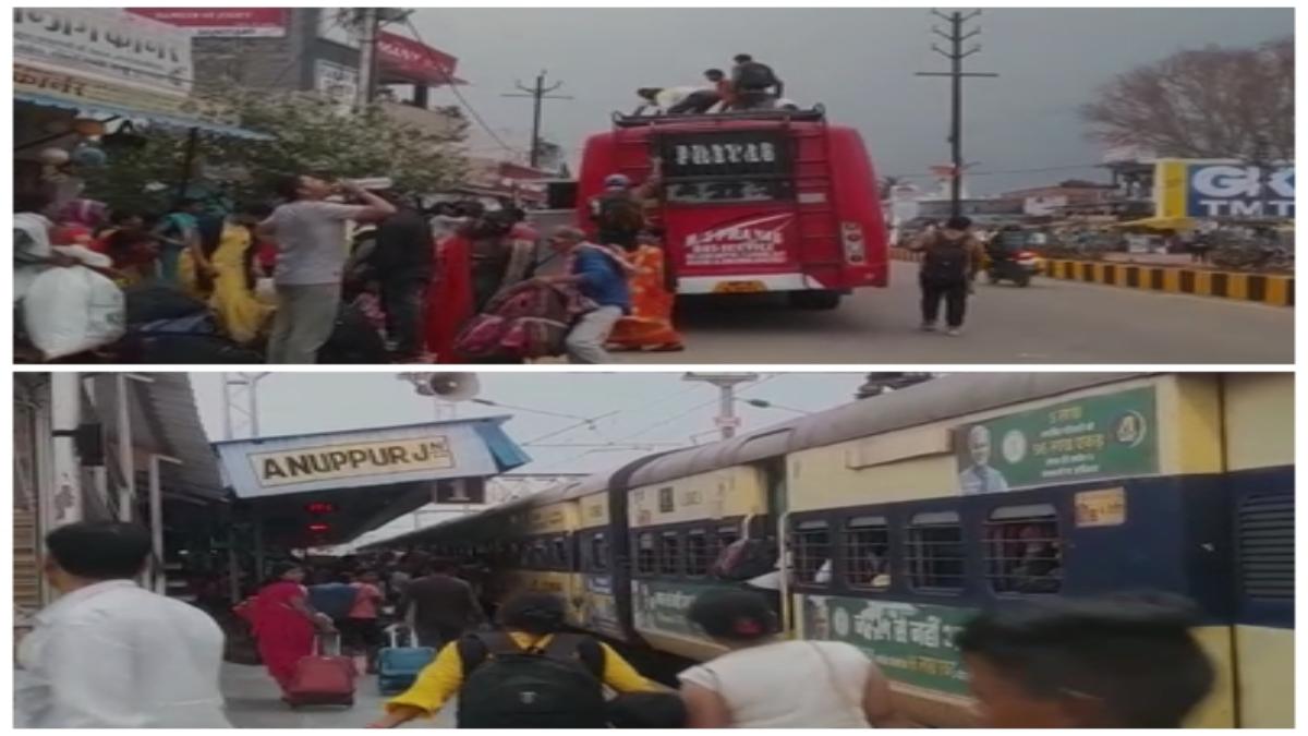 शहडोल रेल हादसा: यात्रियों को शहडोल रेलवे स्टेशन से बस में बैठाकर पहुंचाया गया अनूपपुर, अब स्पेशल ट्रेन से पहुंचेंगे बिलासपुर   