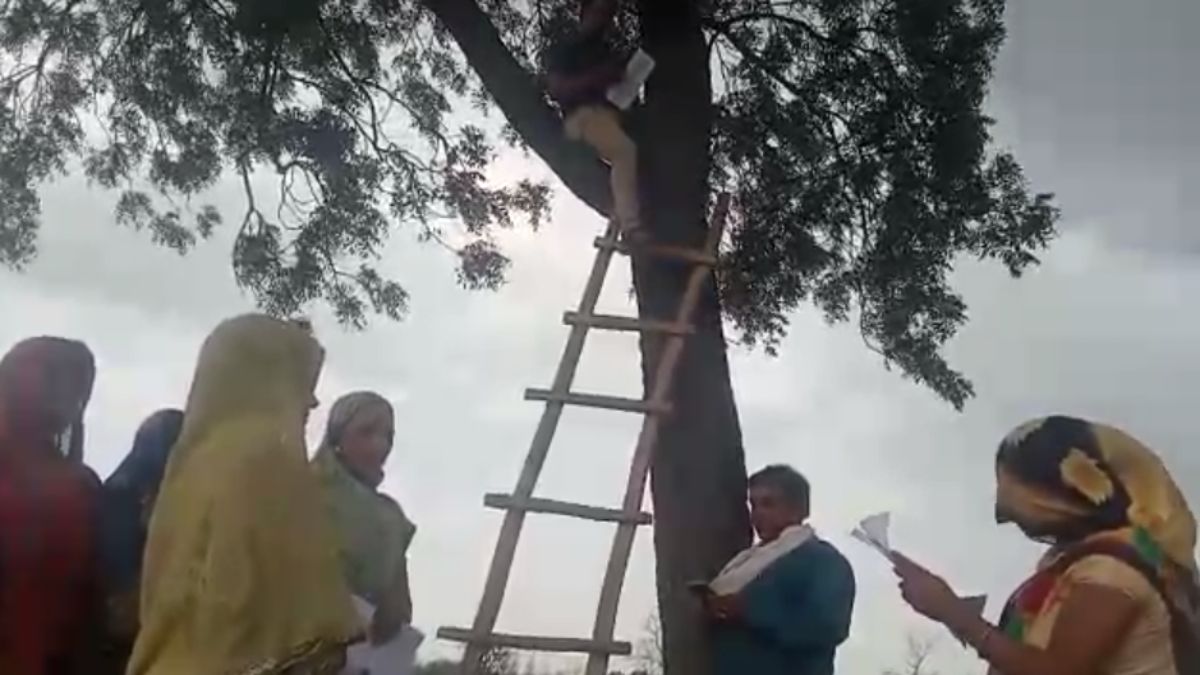 VIDEO; लाडली बहना योजना का फॉर्म भरने पेड़ पर चढ़े सचिव: छत और पेड़ पर चढ़कर ढूंढ रहे नेट कनेक्टीविटी, ग्रामीण बहनों को मुंह चिढ़ाती संचार क्रांति