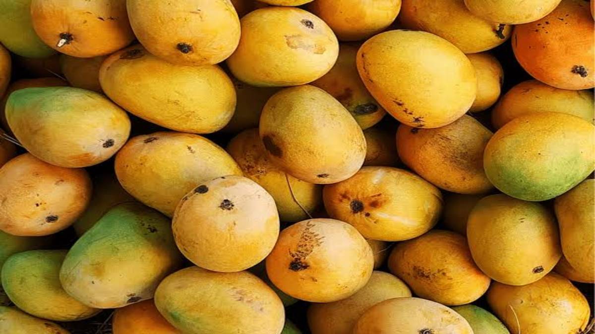 Tips To Buy Mangoes: आम केमिकल युक्त है या नहीं, इन तरीकों से पहचान कर ...