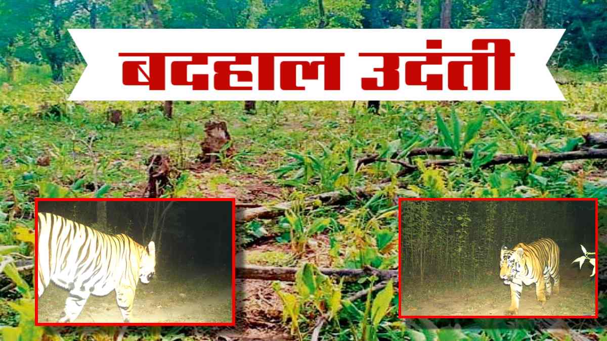 Bad condition of Gariaband Udanti Sanctuary