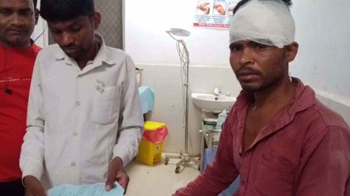 छिंदवाड़ा में महुआ बीनने गए युवक पर बाघ ने किया हमलाः टाइगर के मुंह पर पत्थर ठूंसकर कर बचाई जान, अस्पताल में चल रहा इलाज