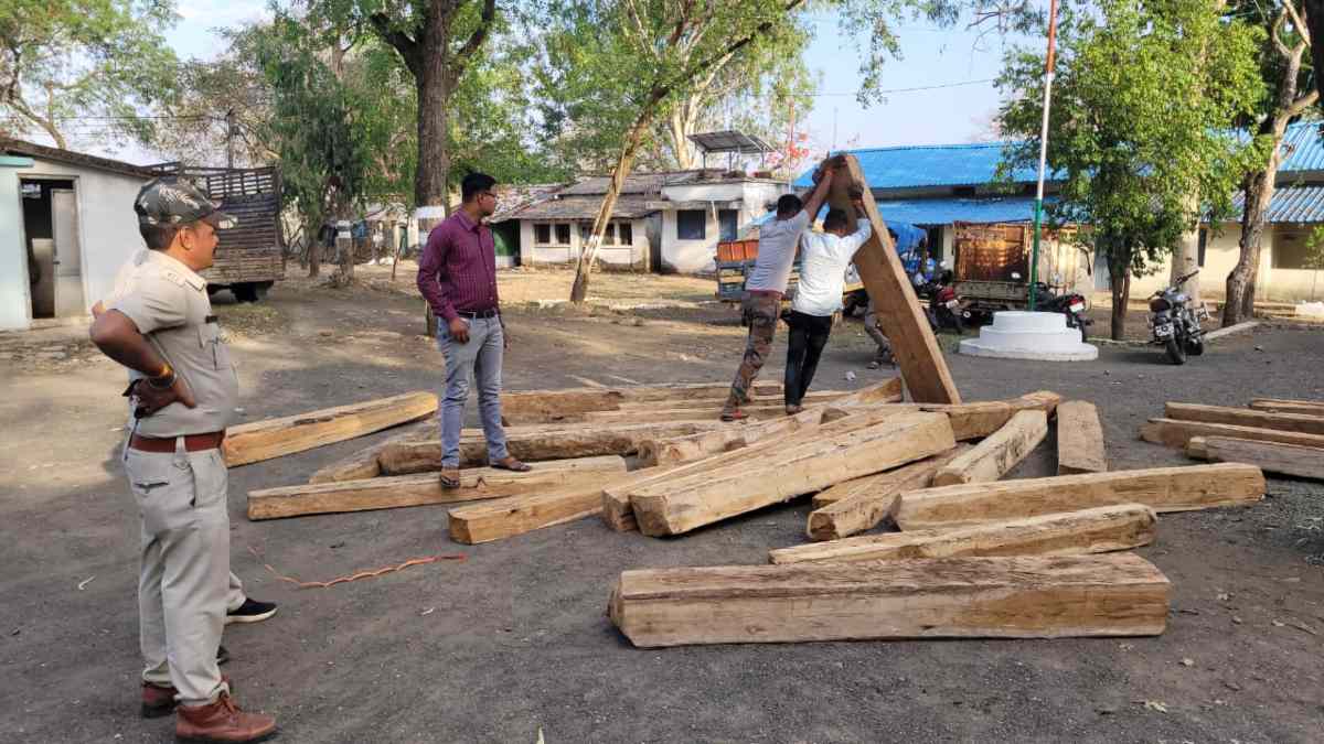 MP और महाराष्ट्र वन विभाग की टीम की बड़ी कार्रवाई: सागौन की सिल्लियों से भरा ट्रक पकड़ा, आरोपी फरार