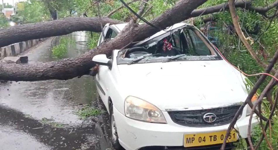 बारिश का कहरः चलती कार पर गिरा पेड़, कार सवार 4 लोग सुरक्षित, बिजली कंपनी और निगम की टीम मौके पर पहुंची, निचली बस्तियों में भरा पानी