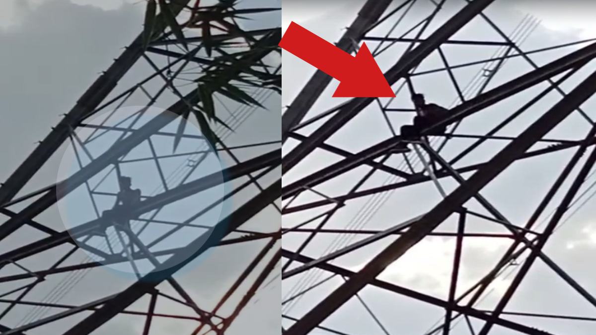 VIDEO: पिता ने डांटा तो नाराज होकर हाईटेंशन लाइन के टावर पर चढ़ गया बेटा, फिर जो हुआ…