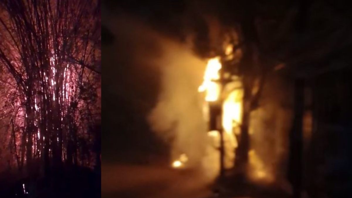 एमपी में अग्निकांड की दो घटनाएं: देवास में डीपी में लगी भीषण आग, कटनी में बांस के झाड़ियों में भड़की आग, मचा हड़कंप