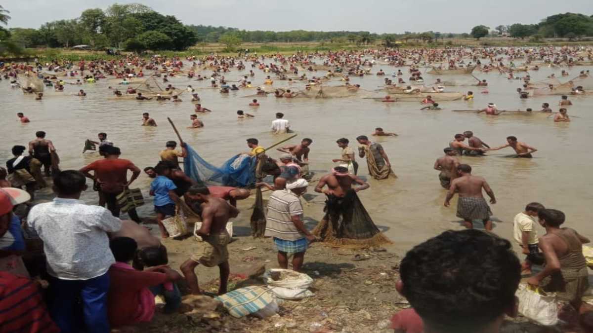 CG में अनोखी परंपराः 14 साल बाद बंधा मतऊर मेला का आयोजन, मछली पकड़ने हजारों की संख्या में जुटे ग्रामीण, गाजा बाजा के साथ की पूजा