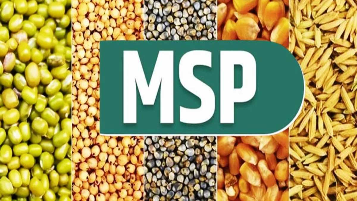 किसानों के लिए बड़ी खबर: अन्नदाताओं को सरकार ने दिया तोहफा, धान, मूंग और उड़द सहित इन फसलों का MSP बढ़ा, जानिए डिटेल
