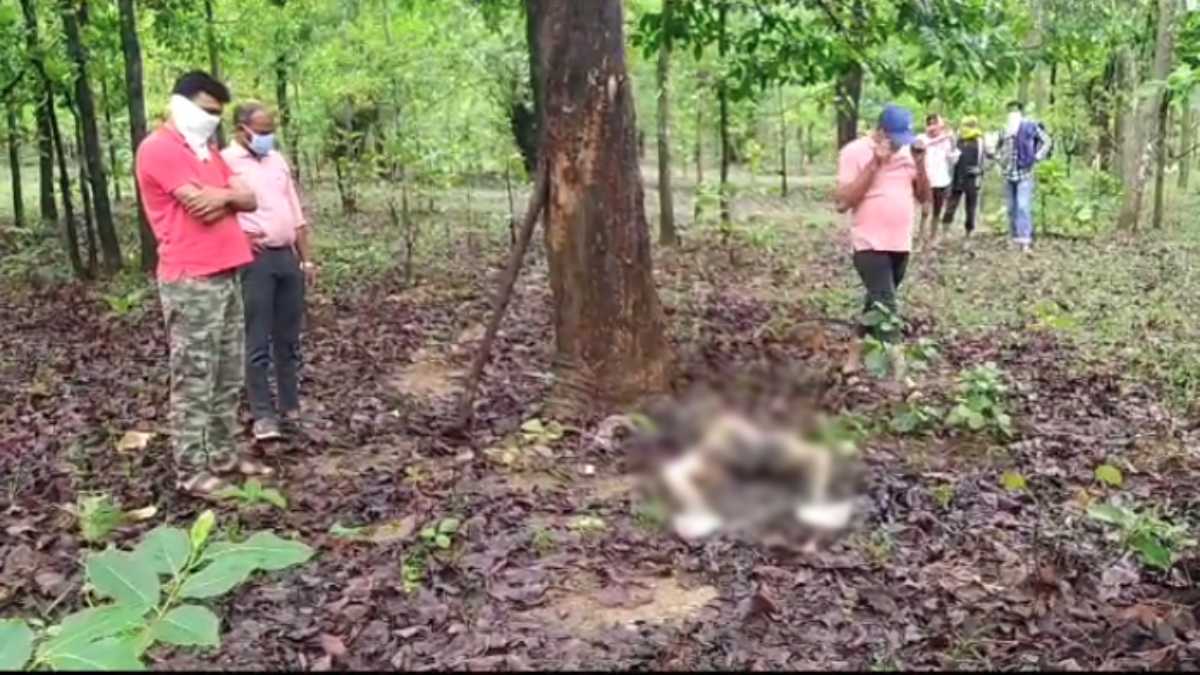 भूख-प्यास से शख्स की मौत ! जंगल में मिला लापता व्यक्ति का शव, क्षेत्र में फैली सनसनी, जांच में जुटी पुलिस