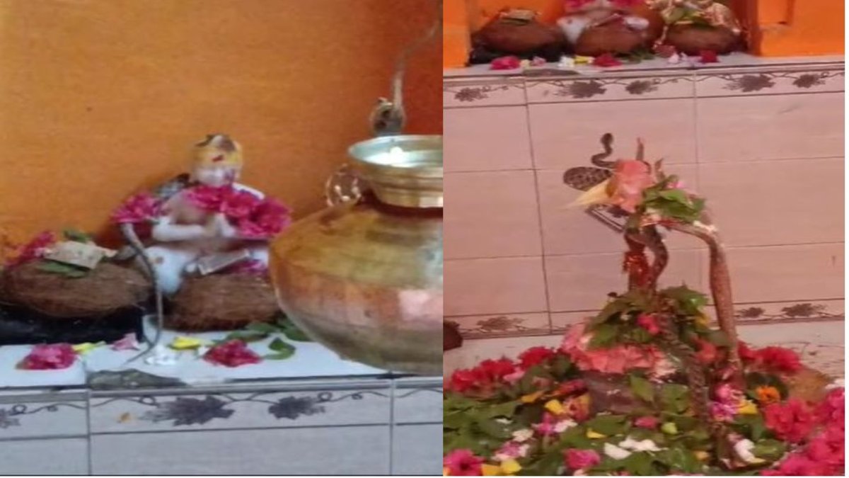 धर्म कर्मः श्रावण माह में दिखा अद्भुत नजारा, भगवान शिव की मूर्ति में लिपटे रहे नाग, Video