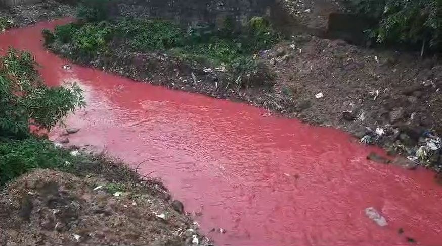 आश्चर्य किंतु सत्यः क्या आपने कभी गुलाबी रंग का पानी देखा है! नहीं, तो देखिए वीडियो
