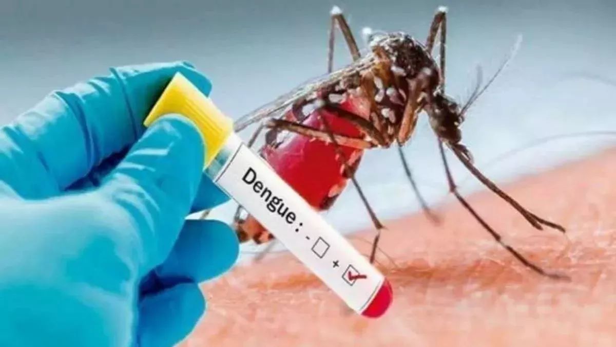 ओडिशा में तेजी से फैल रहा डेंगू, भुवनेश्वर में मरीजों की संख्या पहुंची 3 हजार के पार