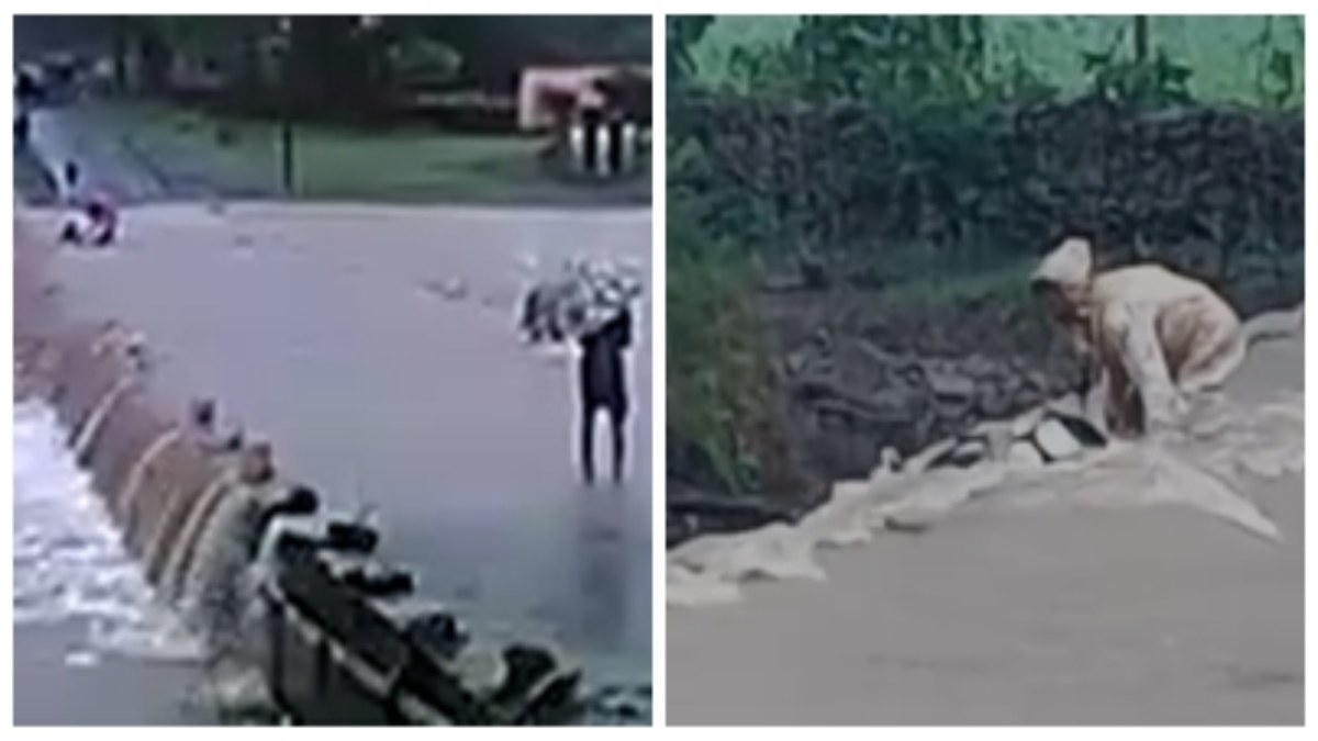 लापरवाही पड़ी भारी VIDEO: मंडला में उफनते पुल पार करते समय महिला समेत तीन लोग बहे, सिवनी में बीच मजधार में फंसा बाइक सवार युवक