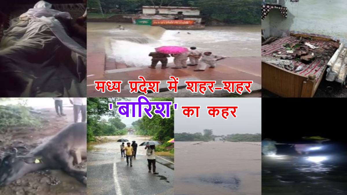 MP में बारिश का कहर: टीकमगढ़ में 2 की मौत, मुरैना में युवक पर गिरी गाज, दमोह में बाढ़ में फंसे लोग, उमरिया में घर पर गिरा पेड़, रायसेन-कटनी में आवागमन बंद
