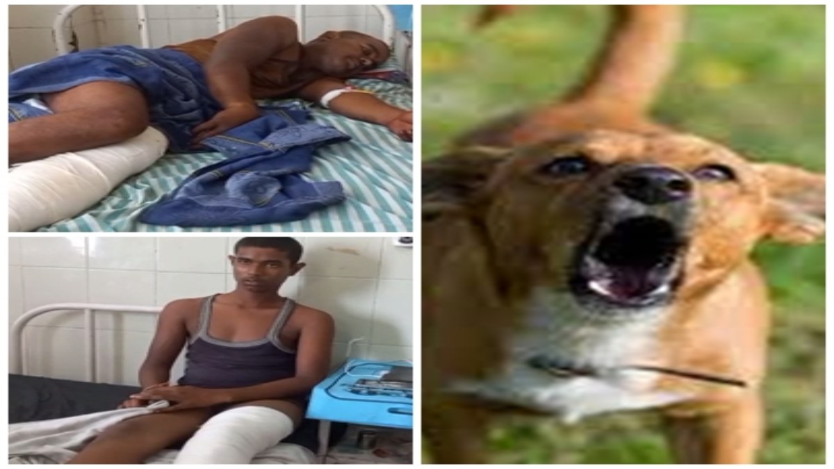 पालतू कुत्ते के भौंकने पर हुआ विवाद: दबंगों ने घर में घुसकर पूरे परिवार को बेरहमी से पीटा, अस्पताल में भर्ती    
