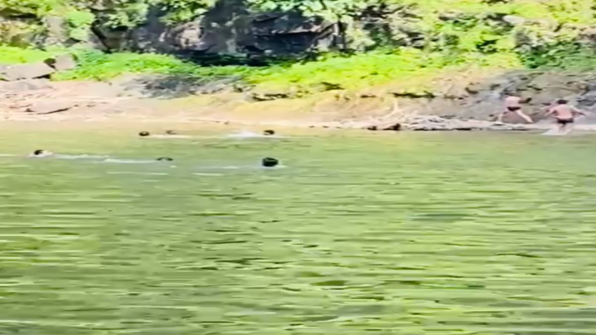 भैरव कुंड में 3 युवक डूबे: 15 अगस्त की छुट्टी पर पार्टी मनाने गए थे, डूबने का लाइव VIDEO भी आया सामने
