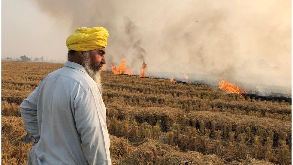 Punjab : किसानों को पराली  जलाने से रोकने के लिए 776 नोडल अधिकारी नियुक्त