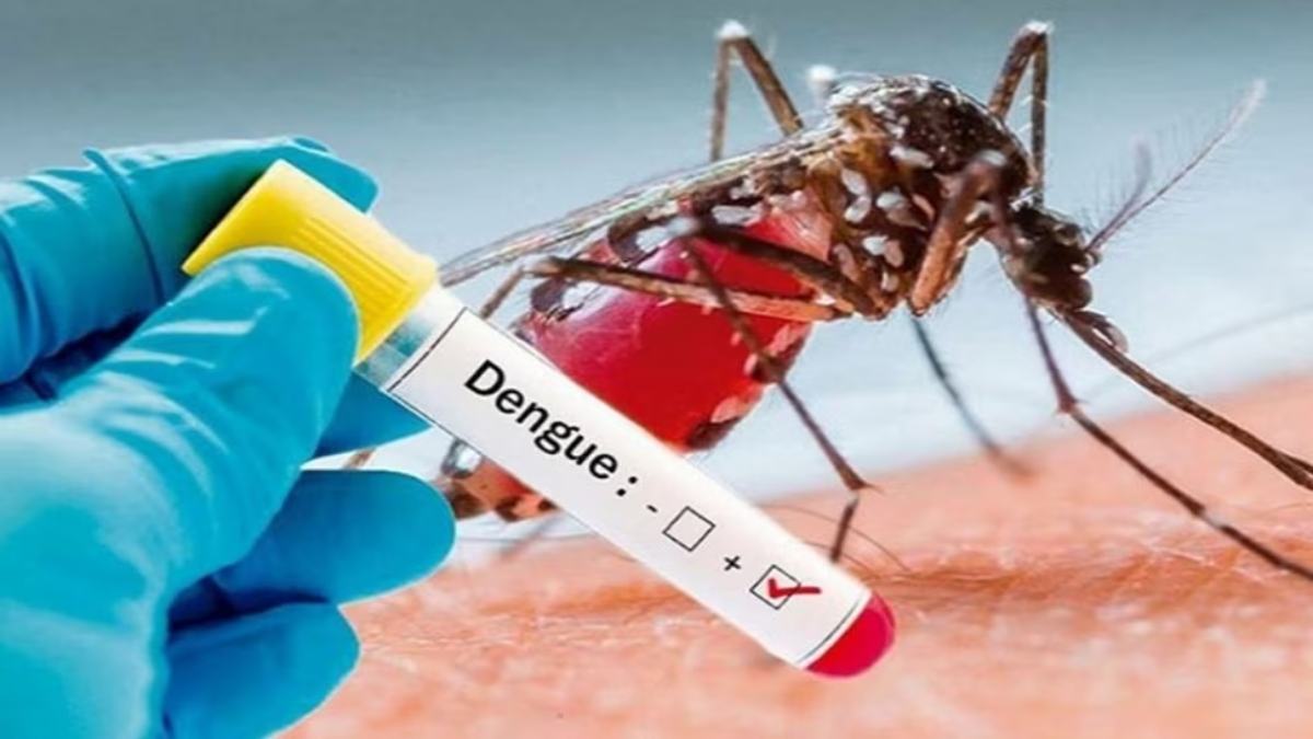 CG में डेंगू का डंकः निजी अस्पतालों में चल रहा खेला ! बिना एलाइजा टेस्ट कराए डेंगू का इलाज करने पर होगी कार्रवाई…