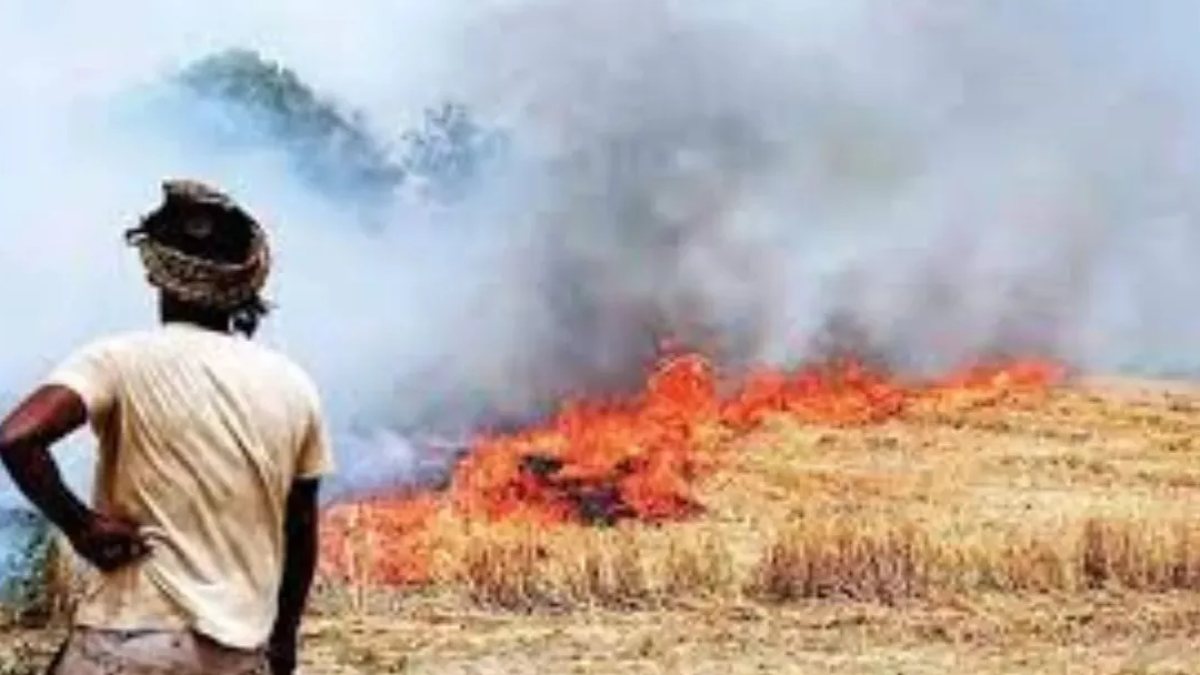 पराली जलाने वाले किसानों को भरना होगा जुर्माना, देने होंगे इतने हजार, कृषि विभाग ने जारी की एडवाइजरी
