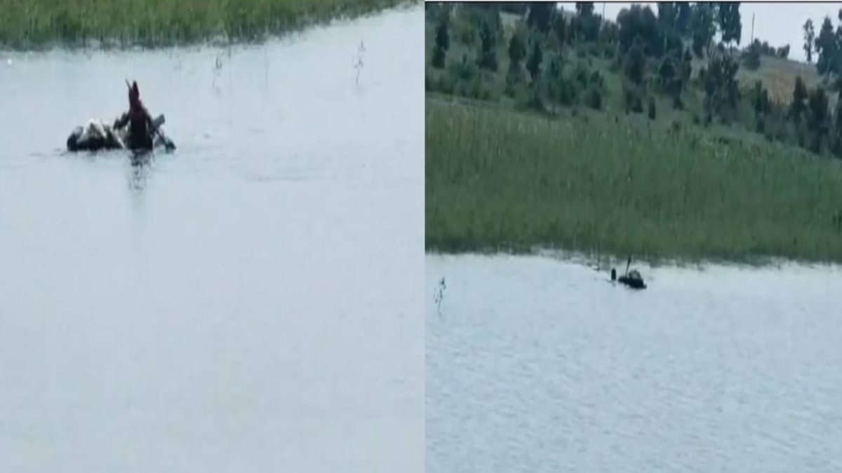 बेटे ने पिता को दी दूसरी जिंदगी: तालाब में डूब रहे मछुआरे पिता की पुत्र ने बचाई जान, देखें Video