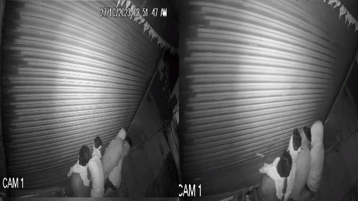 चोरों ने दो दुकानों के तोड़े ताले: 10 हजार कैश के साथ सामान किया पार, चोर सीसीटीवी कैमरे में कैद