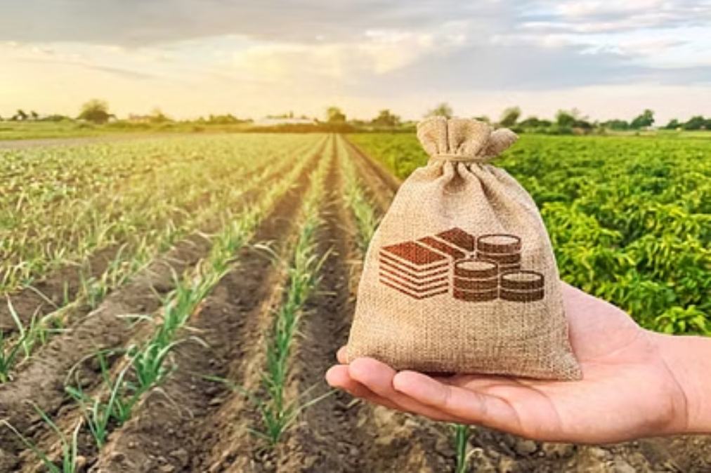 New Business Idea: कम समय में अधिक मुनाफा पाने के लिए खेती के साथ करे ये बिजनेस, मिलेगा अच्छा फायदा…