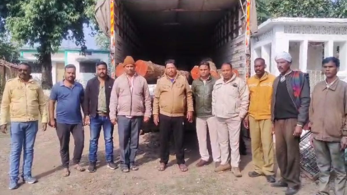 फिल्मी स्टाइल में सागौन तस्करी की कोशिश: वन विभाग की टीम ने की कार्रवाई, ट्रक छोड़कर भागे आरोपी 