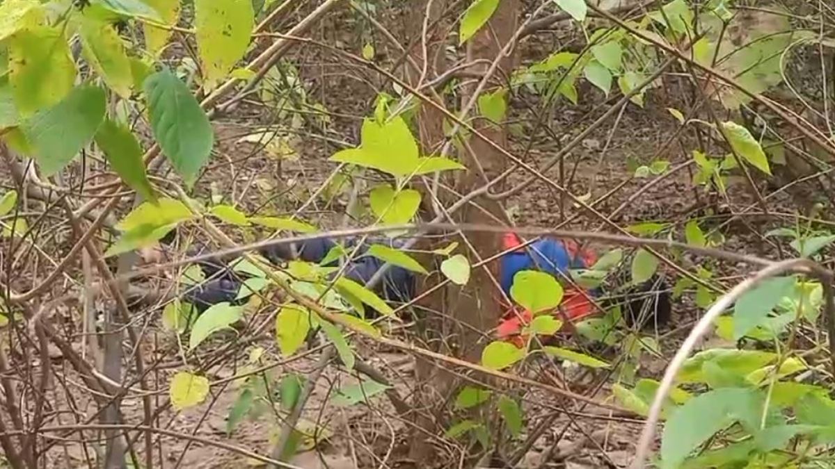 हत्या या आत्महत्या !  दो दिन से लापता किसान का जंगल में मिला शव, जांच में जुटी पुलिस