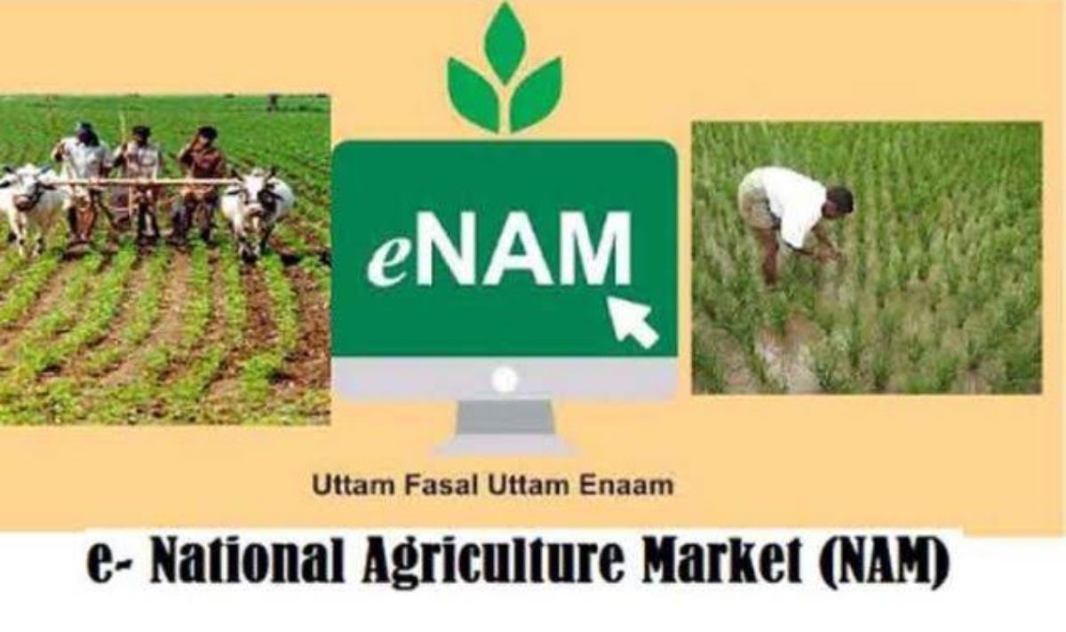 E-NAM पर बढ़ रहा किसानों का भरोसा, अब तक 1.77 करोड़ क‍िसान जुड़े, आखिर क्या है इसका फायदे?