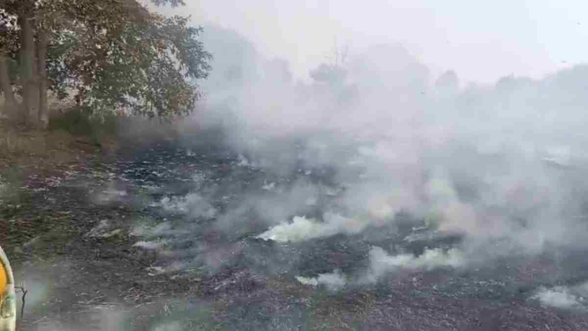 CG NEWS : आग लगने से किसानों की खड़ी फसल और पैरावट जलकर खाक