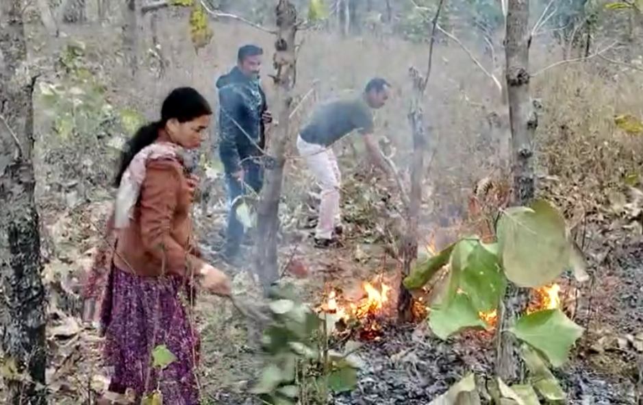 पर्यावरण संरक्षण की खूबसूरत पहलः महिला विधायक ने जंगल में लगी आग खुद बुझाई, वीडियो वायरल