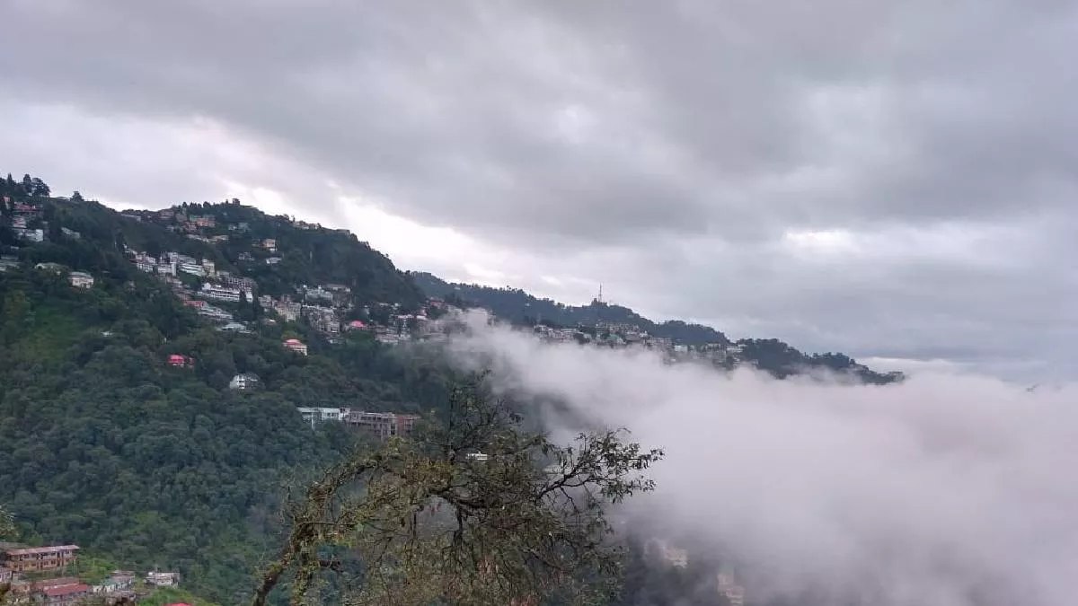 Uttarakhand Weather : घने कोहरे की बिछी चादर, इन पांच जिलों में मौसम विभाग ने जारी किया येलो अलर्ट