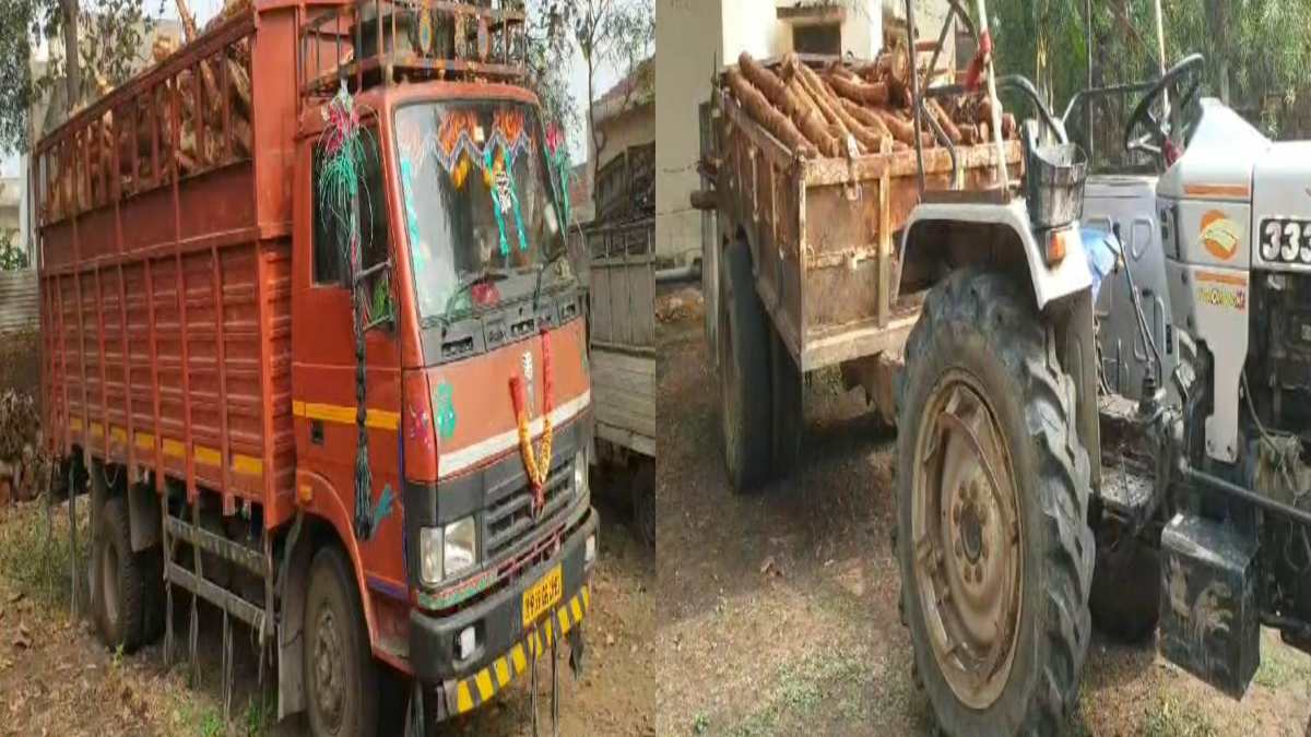 बेशकीमती लकड़ियों की अवैध तस्करी: वन विभाग ने की बड़ी कार्रवाई, सागौन-पलास समेत अन्य लकड़ियों से भरे 5 वाहन पकड़ाए
