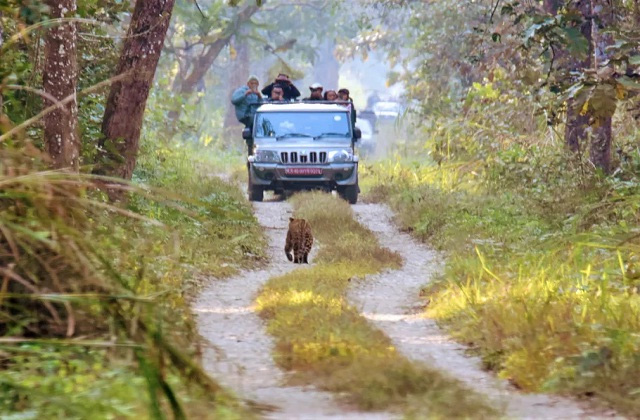 दिल्ली- NCR में बनने जा रही है दुनिया की सबसे बड़ी और अनोखी जंगल सफारी