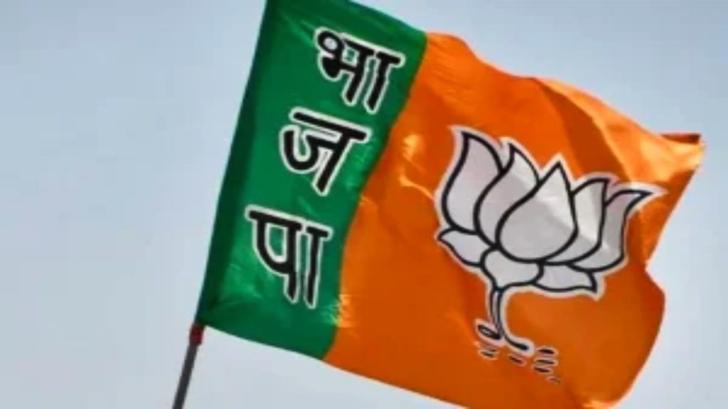 MP-CG News : BJP ने जीजा-साली को दी लोकसभा टिकट… जाने एक इत्तेफाक और