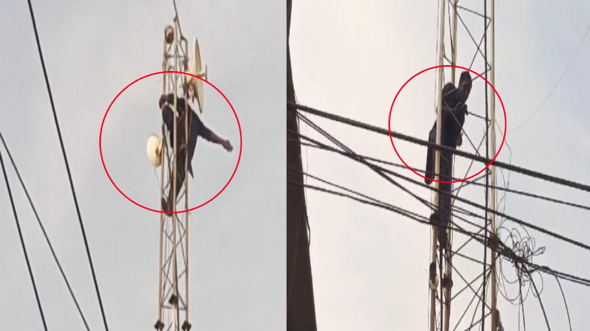 मोबाइल टॉवर पर चढ़ा सिरफिरा युवक: हाईवोल्टेज ड्रामा देखने लगी भीड़, देखें Video