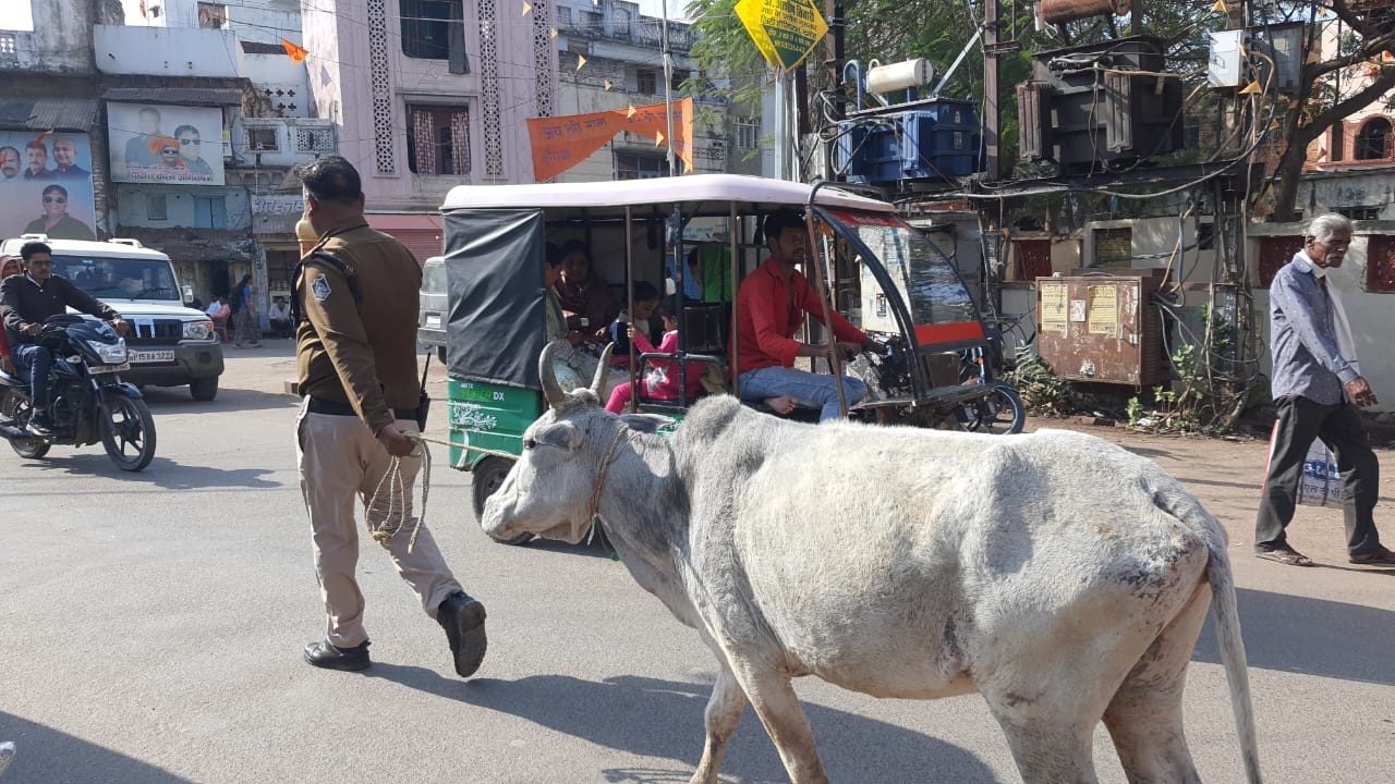 पुलिस सुरक्षा के बीच गाय पहुंची थाने: नजारा देख हैरान हुए लोग, कारण जानकर आप भी करेंगे सैल्यूट