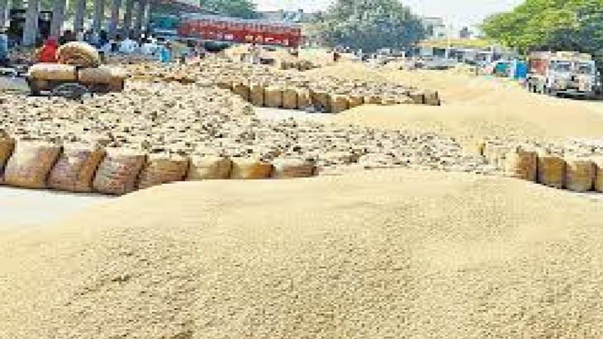 Jabalpur News: 55 हजार से ज्यादा किसानों के लिए बनाए गए 130 उपार्जन केंद्र, स्लॉट बुक करा कर ही उपार्जन केन्द्र पर आने की अपील 