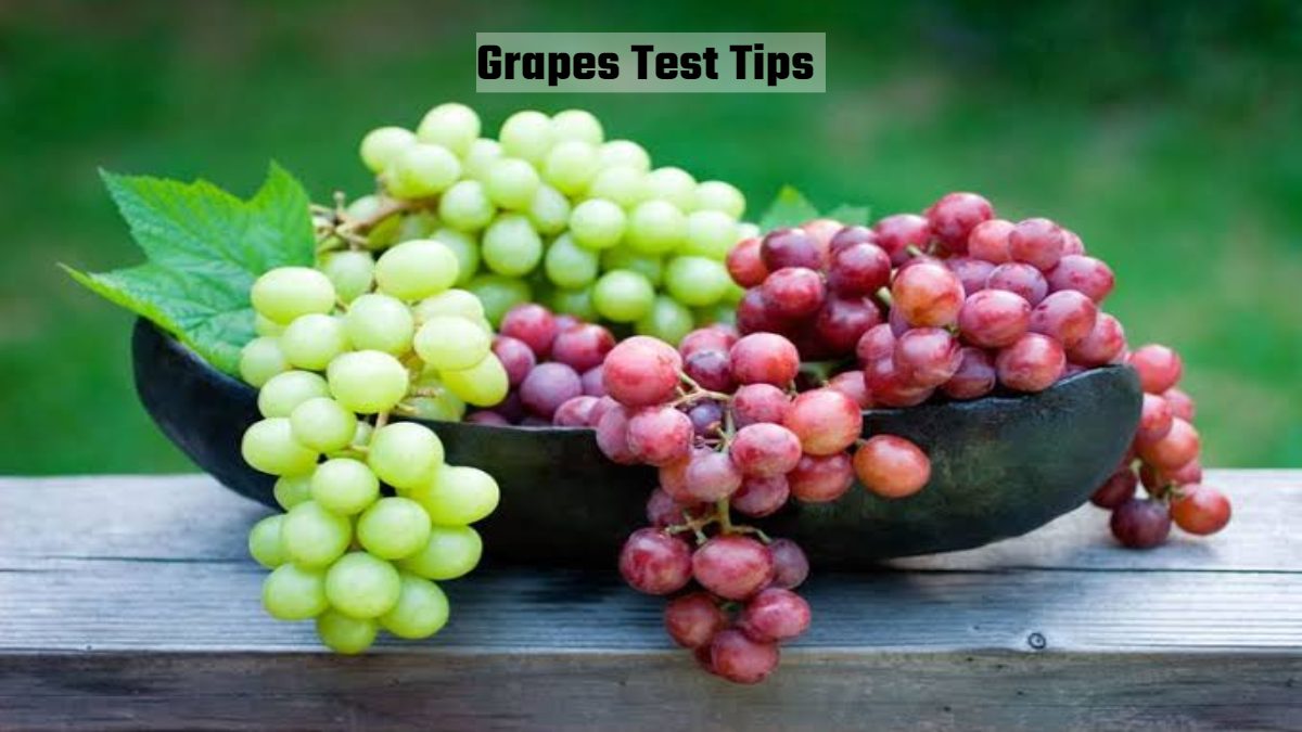 Grapes Test Tips : अंगूर खट्टे हैं या मीठे? पहचानने में होती है दिक्कत , तो करें इन Tips को Follow