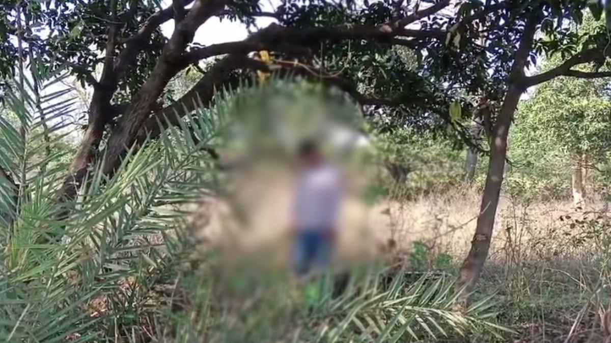 पेड़ से लटकता मिला शिक्षक का शव: क्षेत्र में फैली सनसनी, जांच में जुटी पुलिस